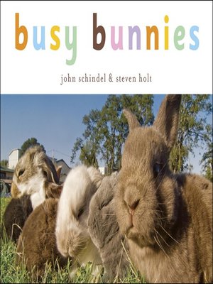 Busy Bunnies - ebook